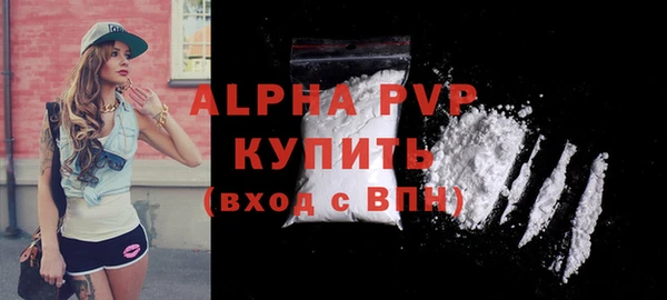apvp Гусев