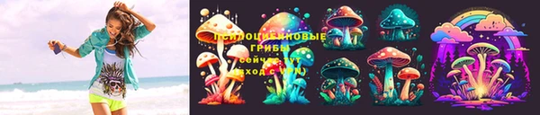 2c-b Горняк