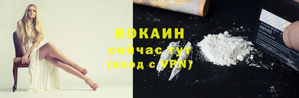 2c-b Горняк