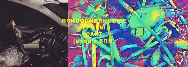 2c-b Горняк