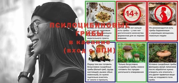 2c-b Горняк