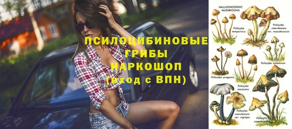 амф Горно-Алтайск