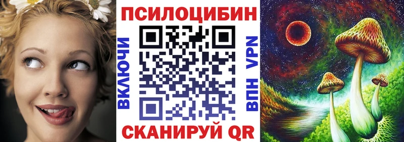 Псилоцибиновые грибы Psilocybe Уфа